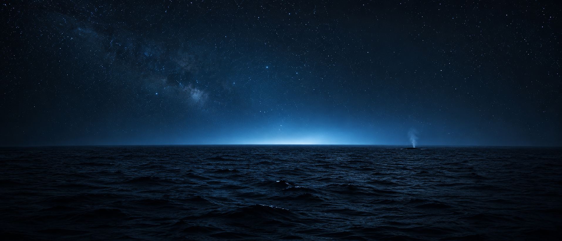 Vast night ocean under a starry sky with a distant whale spout